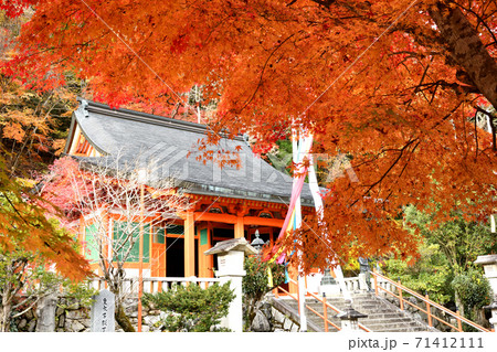 大峰山 秋の龍泉寺本堂 大峰山 秋の龍泉寺本堂 71412111