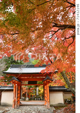 大峰山 秋の龍泉寺総門 大峰山 秋の龍泉寺総門 71412146