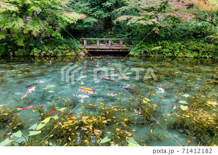 名もなき池 モネの池 全景 名もなき池 モネの池 全景 71412182