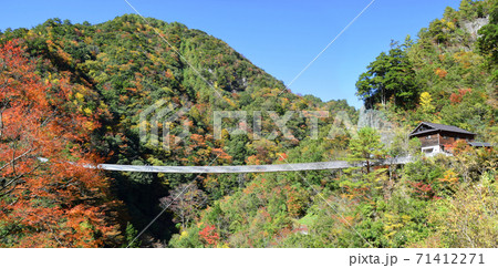 梅の木轟公園　吊り橋の紅葉 71412271