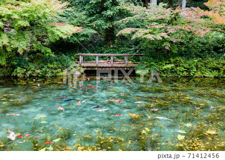 名もなき池 モネの池 観光する女性 名もなき池 モネの池 観光する女性 71412456