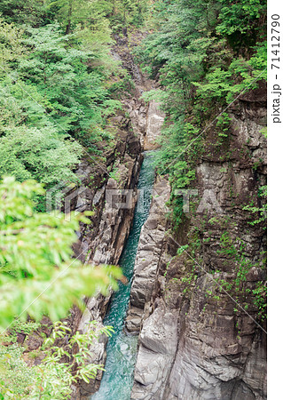 岐阜県関市　 川浦渓谷 71412790