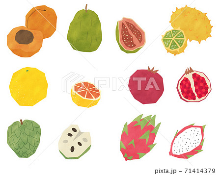 おしゃれなタッチのいろいろフルーツ3のイラスト素材