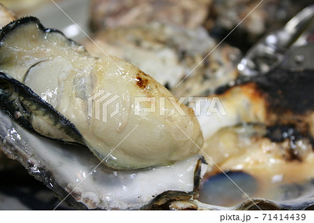 焼き牡蠣	 71414439