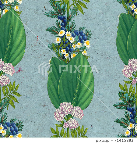 Hand drawn medicinal plant seamless pattern. Healing herbs drawing on craft paper. Hand drawn medicinal plant seamless pattern. Healing herbs drawing on craft paper. 71415892