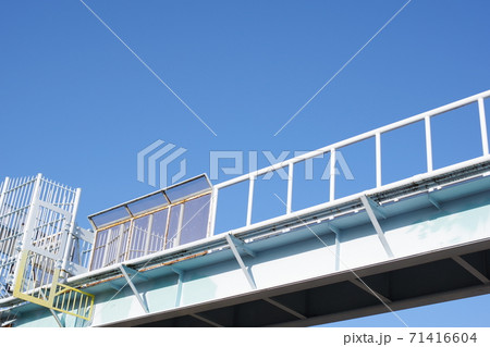 見上げる橋 71416604