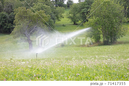 Sprinkler watering a lawn in Switserland Sprinkler watering a lawn in Switserland 71417355