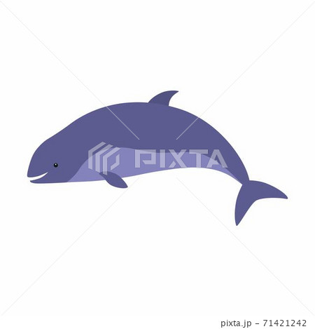 Happy Harbor Porpoise Cartoon. Vector illustration isolated Happy Harbor Porpoise Cartoon. Vector illustration isolated 71421242