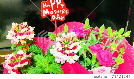 母の日、ピンクのお花 母の日、ピンクのお花 71421244