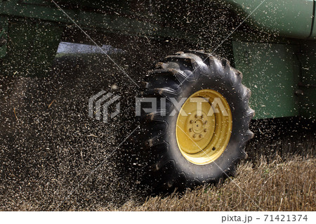 the wheel of a combine harvester in the movement of the harvested grain close up the wheel of a combine harvester in the movement of the harvested grain close up 71421374