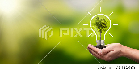 Ecological friendly and sustainable environment Ecological friendly and sustainable environment 71421438