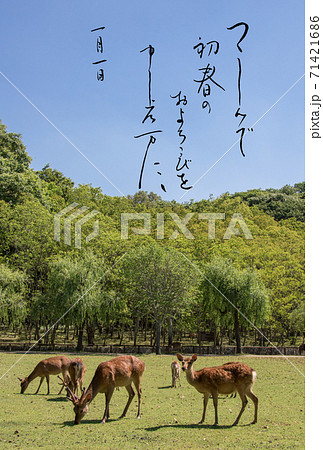 筆文字の年賀状 奈良公園の鹿 のイラスト素材