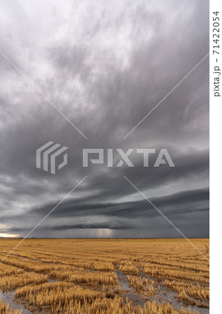 Dark storm over the flooded rice fields and antenna in Valencia 71422054