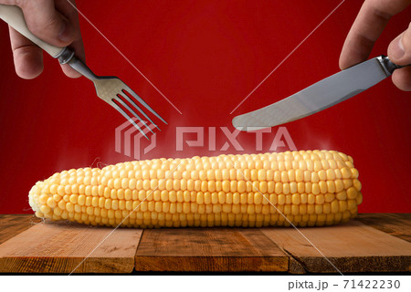 Hands with knife and fork above ripe and tasty corn. 71422230