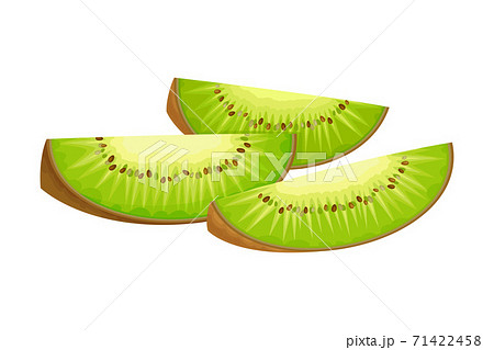Cut Into Sections Kiwifruit or Kiwi as Edible Berry with Fibrous Brown Skin and Green Flesh Vector Illustration Cut Into Sections Kiwifruit or Kiwi as Edible Berry with Fibrous Brown Skin and Green Flesh Vector Illustration 71422458