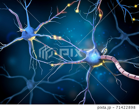 Multipolar neurons network Multipolar neurons network 71422898