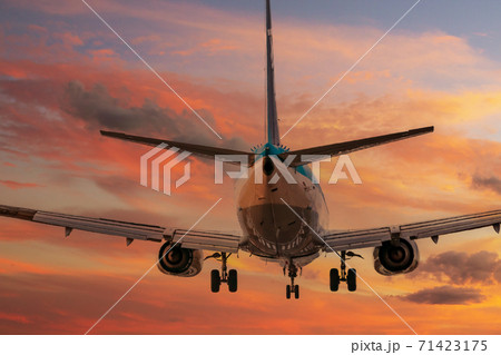 big plane landing during sunset big plane landing during sunset 71423175