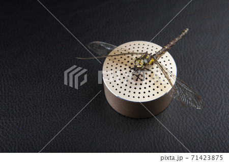 image of sound speaker dragonfly dark leather background image of sound speaker dragonfly dark leather background 71423875
