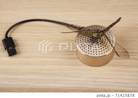 image of sound speaker dragonfly wooden desk background image of sound speaker dragonfly wooden desk background 71423878