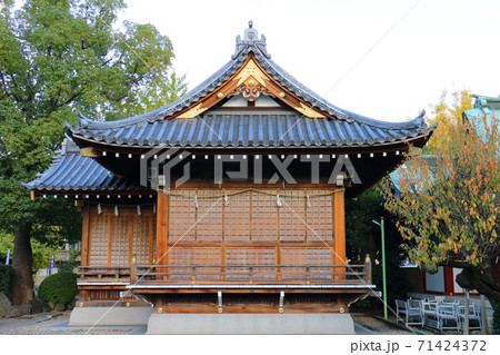 亀戸天神菊まつり　亀戸天神社 能楽堂 71424372