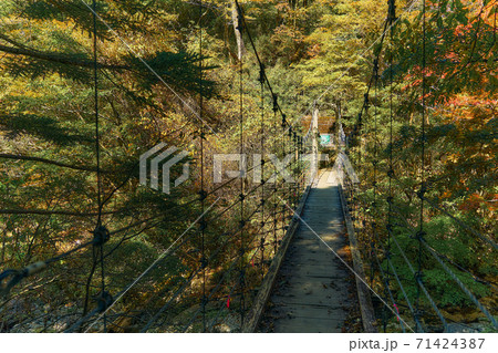 奈良県大台ヶ原　シオカラ吊橋 71424387