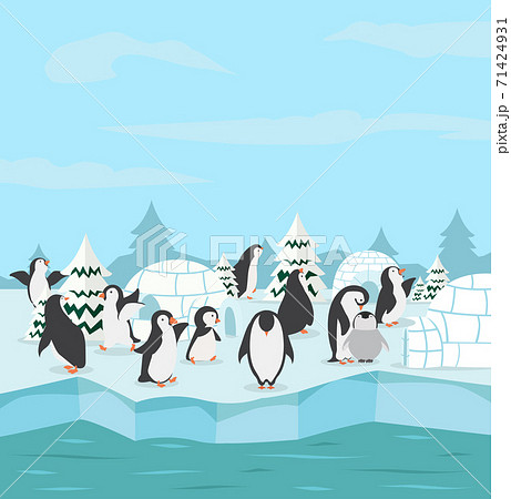 penguins family with winter north pole arctic 71424931