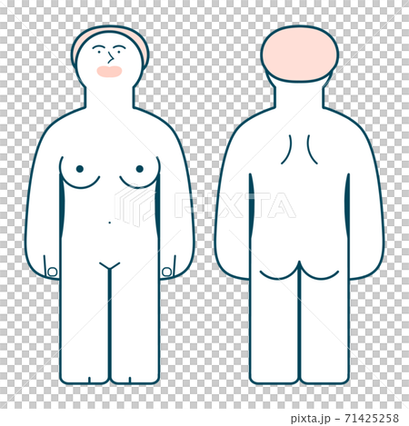 人体のイラスト_女性② 71425258