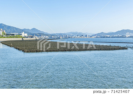 広島県 瀬戸内海での牡蠣の養殖風景 広島県 瀬戸内海での牡蠣の養殖風景 71425407