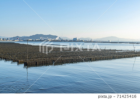 広島県　瀬戸内海での牡蠣の養殖風景 71425416