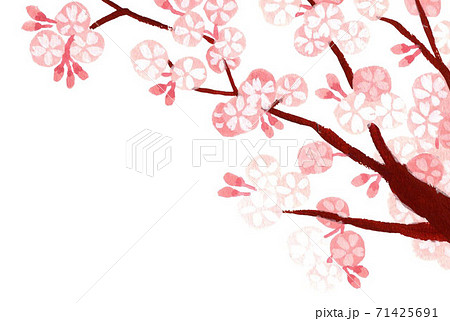 桜の木イラスト 右上フレームのイラスト素材