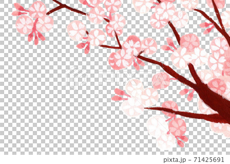 Cherry Tree Illustration Upper Right Frame Stock Illustration