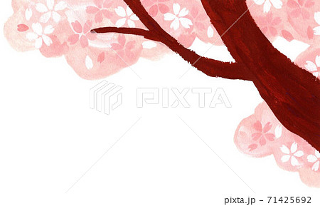 桜の木イラスト 右上フレームのイラスト素材