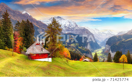 Scenic autumn view of picturesque alpine Wengen village and Lauterbrunnen Valley 71425774