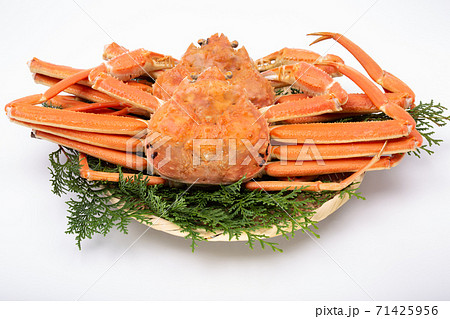 ズワイガニ　食材 71425956