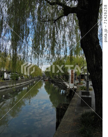 九州の水郷地帯柳川の掘割の風景 71426258