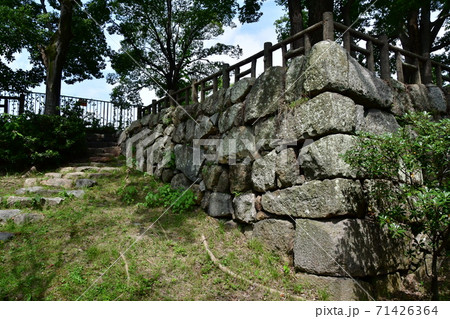 淀城18 淀城18 71426364