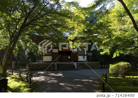 京都市西京区の竹の寺の境内（地蔵院） 71426400