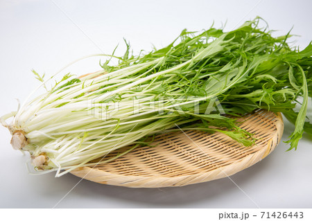 水菜 71426443