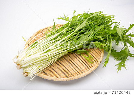 水菜 71426445