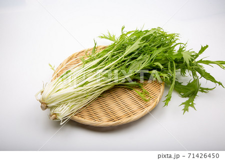 水菜 水菜 71426450