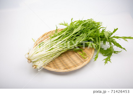 水菜 71426453