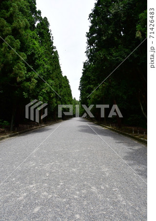 伏見桃山陵02 伏見桃山陵02 71426483