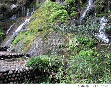 柱状節理の崖から湧き出る高千穂峡の玉垂の滝 71426798