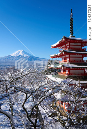 新倉山浅間公園 71427085