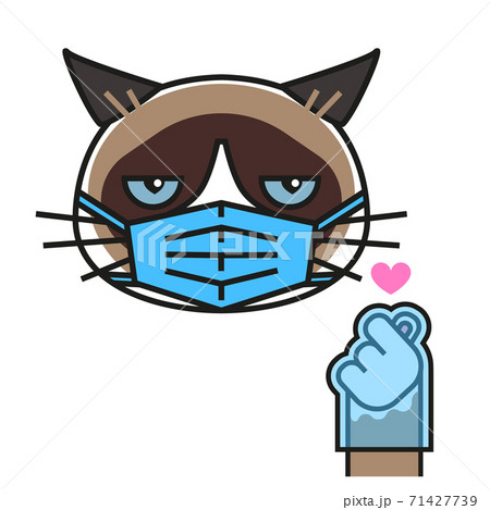 Grumpy Cat Loves K Pop In Medical Mask And Glovesのイラスト素材