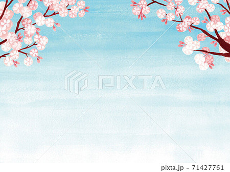 桜の木と青空の背景イラスト 花びらなし のイラスト素材