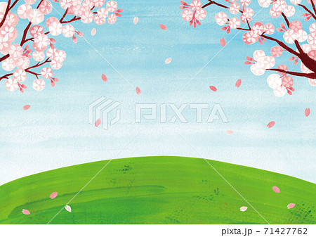 桜の木と草原 青空の背景イラスト 花吹雪 のイラスト素材
