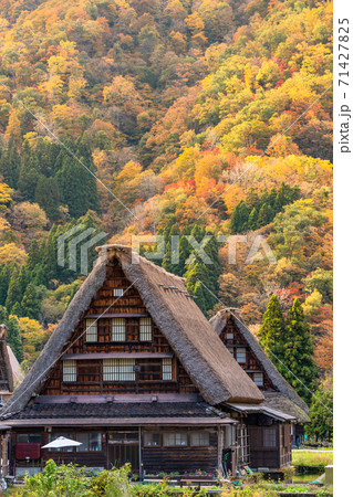《富山県》黄葉の菅沼合掌造り集落・日本の原風景 71427825