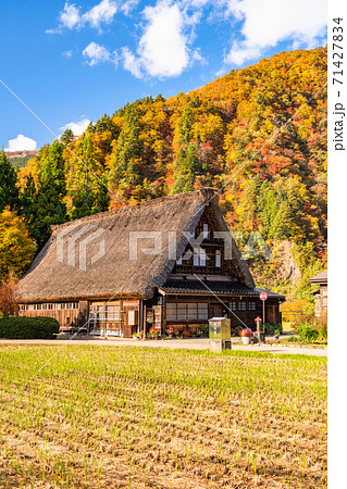 《富山県》黄葉の菅沼合掌造り集落・日本の原風景 71427834