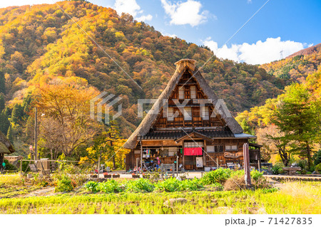 《富山県》黄葉の菅沼合掌造り集落・日本の原風景 《富山県》黄葉の菅沼合掌造り集落・日本の原風景 71427835